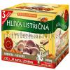 Hl�va �st�i�n� s rakytn�kov�m olejem