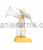 Medela Harmony ods�va�ka 2-f�zov� manu�ln�