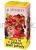 Megafyt Ovocn� �aj s p��chut� lesn� jahody 20x2.5g - n�levov� s��ky