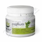 PSYLLIUM KAPSLE 100 KS