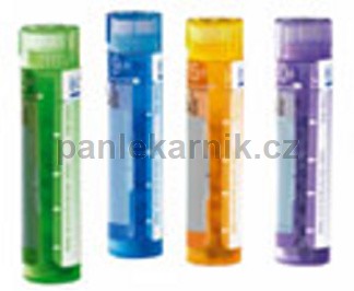 Rhus Toxicodendron 30CH